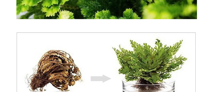 �����᝙�ϴ����