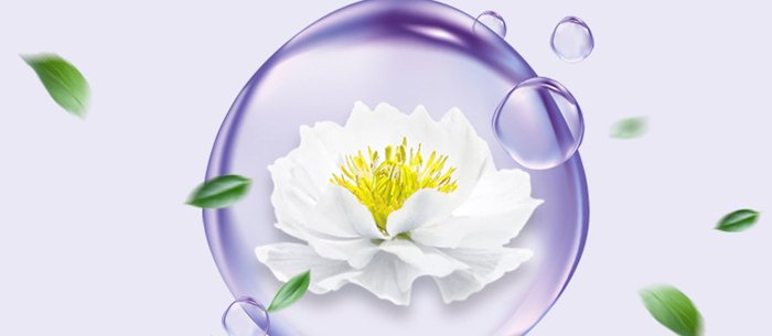 �S�c�ʗ�ѩɏ����͸�������_10